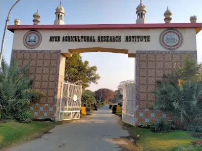 Ayub Agricultural Research Institute, Faisalabad