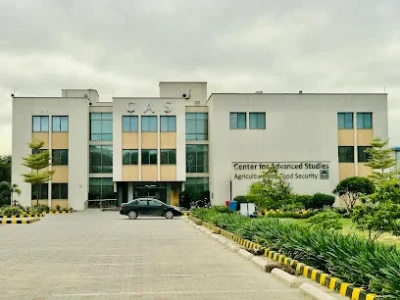 CAS - Center for Advanced Studies