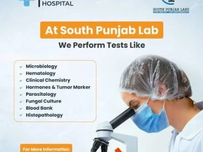 South Punjab Labs - Chungi no. 1