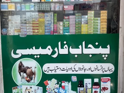 Punjab Pharmacy