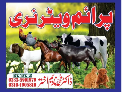 Prime veterinary Clinic and Services
